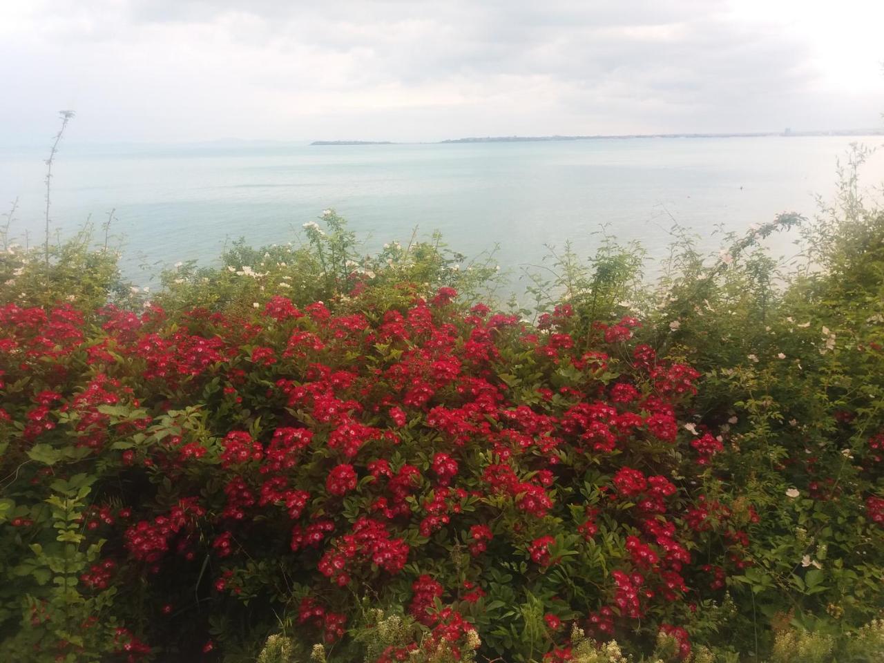 Hotel Sea Vista Sveti Vlas Eksteriør billede